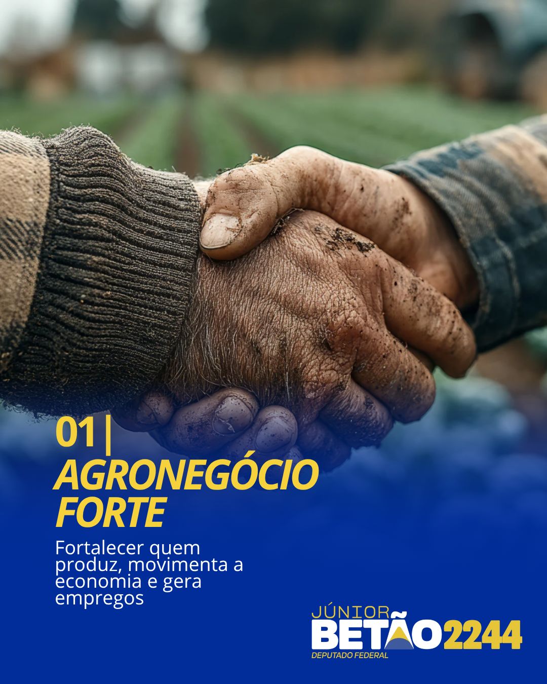 Representação do agronegócio